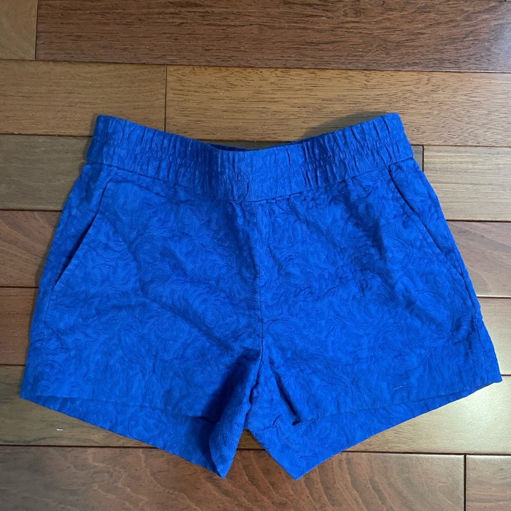 J Crew Blue Shorts